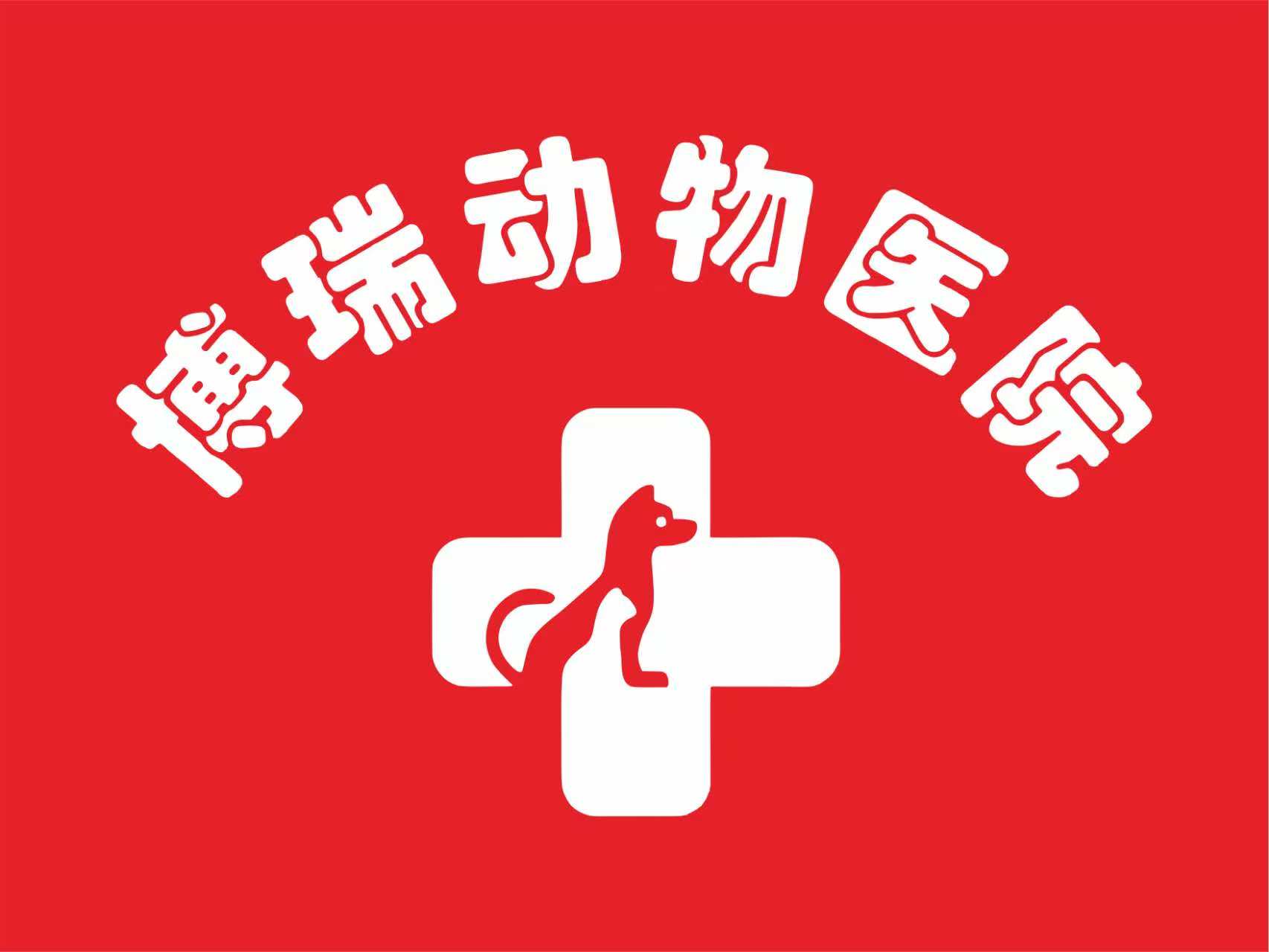 cbed0c34-0b5b-43df-b652-3505b77c3ef9.jpg