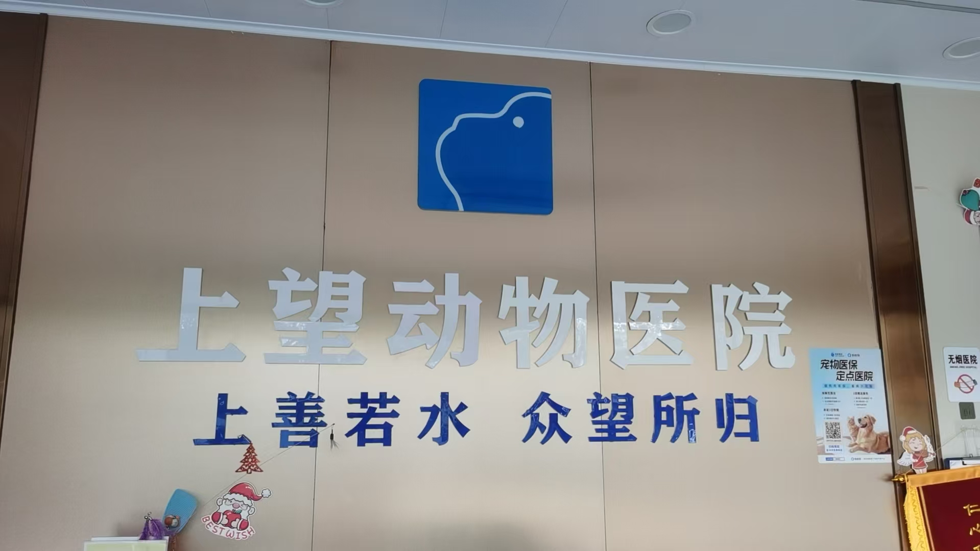 东莞上望宠物 (2).jpg