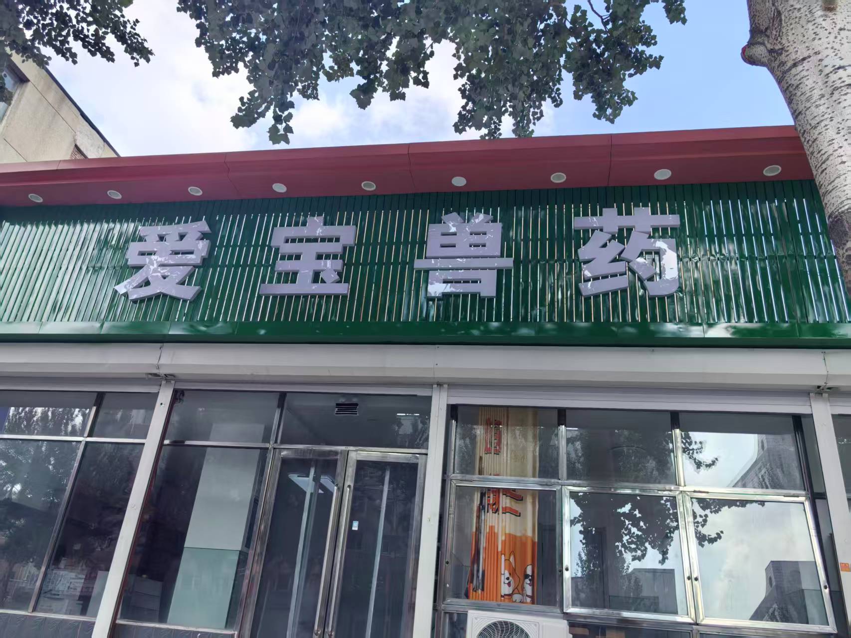 爱宝.jpg